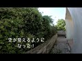 雑草をやっつけろ！