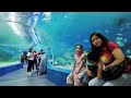 Walk Tour of Manila Ocean Park Oceanarium - Ermita Manila, Philippines 2023