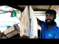 Dry Fish Vlogs in Negombo ,Sri lanka 😱🔥මීගමුවේ බෝට්ටු කරවල , තොග සහා සිල්ලරට 😱✅