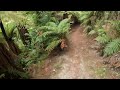 Taupo Rotary Ride (Bicycle Trail) Part 4 of 4