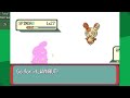 How to Actually beat Pokemon Emerald with Minimum Battles