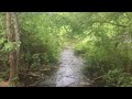 River on Greenway Trail