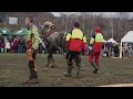 Il fait tirer 3 troncs d'arbres à un cheval à la fois.