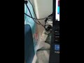 OMGGG! I FOUND IAMSANNA PLAYING ROBLOX! |HyperME Roblox