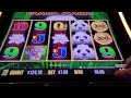 DRAGON LINK PANDA MAGIC SLOT MACHINE...HAVING FUN WITH THE BEAR!!!