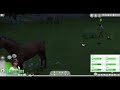 Is My Horse High Maintenance? - Let's Play the Sims 4 Horse Ranch