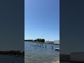 Davis Island Tampa Florida!🏝️