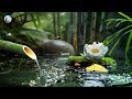 Relaxation Music: soothing water sounds, Full Nature Sound Brain Therapy, Sleep Relaxation, Insomnia