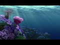 Finding Nemo (2003) | Ambient Soundscape