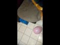 Shaimiss and a Balloon