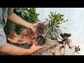 its amazing coconut peeling skill , verry easy way to remove old coconut #cuttingskills #coconutmilk