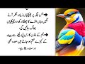 Best urdu quotes for life || urdu quotes || motivational quotes
