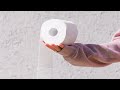 On A Roll   Toilet Paper Issues