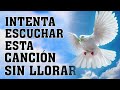 MÚSICA CATÓLICA 2023 🙏🏻❤️️ DIOS ES MI FORTALEZA 🙏🏻❤️️ INTENTA ESCUCHAR ESTA CANCIÓN SIN LLORAR 🙏🏻❤️