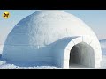 How Igloos Stay Warm Inside Despite Being Made of Ice!