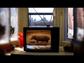 The North American house hippo. A favourite Canadian commercial from 1999.