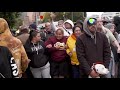 NZ Wellington Protest Documentary