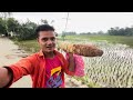 অনেকদিন পর মার হাতের রান্না ভাত খেলাম🌱| Bangladesh Village Life @villagevloger5030