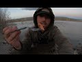 Chasing BIG Rainbow Trout w/ the Fly Rod!! (Catch & Cook)