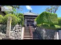 [Kyoto, Japan]Uji Area Walking Tour｜Introducing Courses with Superb Views