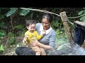 Harvesting Chicken Egg Goes to market sell - Cooking | daily life, live whit nature