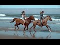 Horse riding on the beach | Running horses