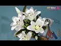 DIY | How To Make Lily Flower Bouquet From Satin Ribbon Easy | hand bouquet wedding tutorial