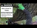 Working a High Limb Over Water - Solo Tree Work from Climbing to Cleanup