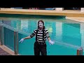 Megan the fun mime from SeaWorld Orlando 😂🤣 Megan the mime #meganthemime #seaworldmime