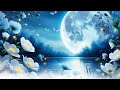 Souls Relaxing - Moon Light Lullaby Soothing Flower