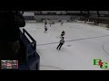 Girls Ice Hockey vs. Hanover High School - Semi-final