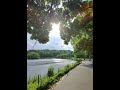 New York City Central Park North Harlem Meer Walk #nyc #centralpark