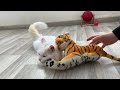 Does the cat like to play with the stuffed tiger ?