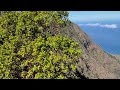 Na Pali Kona Forrest Reserve Pihea Trail