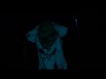 Wolf Creek Haunted House 2019 Trailer 4