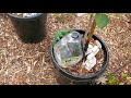 EASIEST & CHEAPEST DIY SELF WATERING SYSTEM FOR YOUR  PLANTS/ TREES.