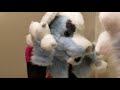 Fursuit TF TG || Magic Transformation