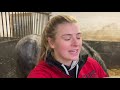 MY HORSE'S MORNING AND NIGHT ROUTINE & WHAT THEY EAT ~ Vlogmas Day 2