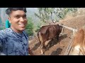 स्वरोजगार कोदा,झींगोरा,मंडुवा, की खेती शुरु pahadilifestyle पहाड़ vlogger