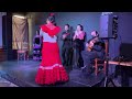 Mónica Méndez por Alegrías. Tablao Flamenco AMOR DE DIOS. Studio 4