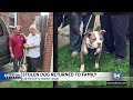 Stolen dog returned to family on Detroit's west side