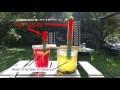 Kill mosquito larvae naturally with SUNLIGHT Solar Trap