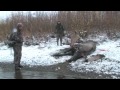 chucks alaska moose hunt