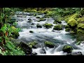 Beautiful Calm Piano Music to Relax - River through the Forest