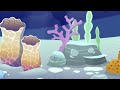 Invertebrate animals for kids: arthropods, worms, cnidarians, mollusks, sponges, echinoderms