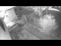 A video from my ARLO camera