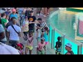 Laugh with Mime Tom at SeaWorld Orlando | Tom the Mime