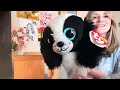 New Beanie Boo Unboxing!