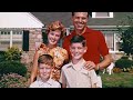 A Day in the Life of a Typical Family in the 1960s