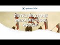 Czy zwykli Rosjanie widzą w Polsce wroga?